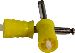 Diş alanı için Renkli Sözleşme Peygamber Kupası